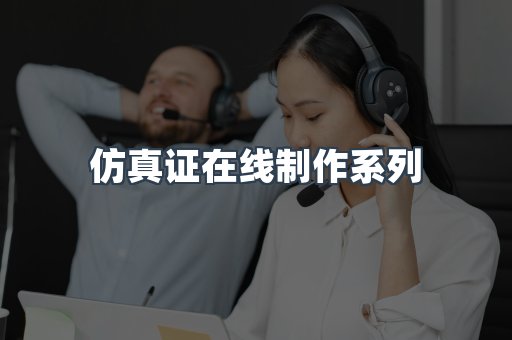 仿真证在线制作